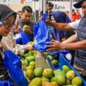 Petani Mangga Bondowoso Perluas Lahan Berkat Pemberdayaan BRI