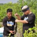 Jaga Ekosistem Pesisir, Bulog Tanam 570 Bibit Mangrove di Bali