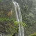 Viral Wisatawan Curug Ciparay Bogor Dipungli