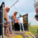 Mimpi Petani atas Kenaikan HPP Gabah