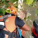 Hanyut di Sungai Bederah, Pemuda Asal Marelan Ditemukan Meninggal