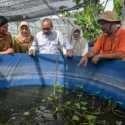 Konsep Urban Farming Diharapkan Mampu Sukseskan Program MBG