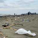 Pengunjung Kecewa Pantai Syiah Kuala Kini Penuh Sampah