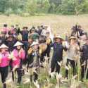 Brimob Polda Jateng Panen 9 Ton Jagung Dukung Ketahanan Pangan