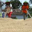 Kebijakan Bulog Wajib Beli Gabah Rp6.500/Kg Stabilkan Harga Pangan