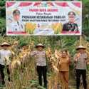 Swasembada Pangan, Polres Halmahera Utara Panen Jagung Puluhan Ton