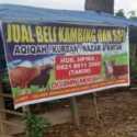 Iduladha Makin Dekat, Penjualan Kambing Kurban di Empat Lawang Masih Sepi