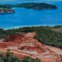 Anggota Komisi IV DPR Minta Pemerintah Cabut Permanen Izin Tambang di Raja Ampat