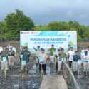 Pertamina Tanam 800 Pohon Mangrove di Cilacap