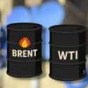 Harga Minyak Terus Terperosok Akibat Keputusan OPEC+