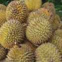 Ekspor Buah dan Sayur Vietnam Melonjak Tajam, Durian Paling Laku