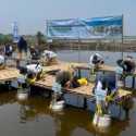 Rehabilitasi Mangrove Buka Peluang Ekonomi Baru Warga Pesisir