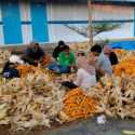 PLN Sulap Limbah Jagung Jadi Listrik, Petani Tuban Dapat Tambahan Penghasilan