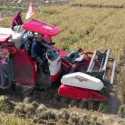 Terapkan Smart Farming, BULOG Panen Padi Hasil Budidaya Mandiri