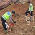 Anjing Pelacak di Lokasi Longsor