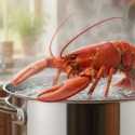 Aturan Baru Inggris: Lobster dan Kepiting Dilarang Direbus Hidup-hidup
