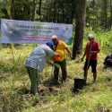 BTNGM Genjot Gerakan Sejuta Pohon Jaga Merapi