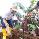 Ikut Lestarikan Lingkungan, Waka DPRD Bogor Tanam Pohon di Lahan Kantor Pemerintahan Terpadu