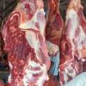 Aceh Siapkan Skema Impor Daging Jelang Tradisi Meugang
