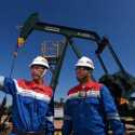 Pengamat Minta Danantara Cermat Pilih Pimpinan Merger 3 Anak Usaha Pertamina