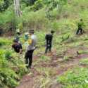 Massa Hadang Polisi saat Ungkap Ladang Ganja di Empat Lawang