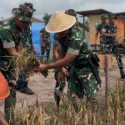 TNI dan Gapoktan Songsong Asta Cita Lewat Panen Raya di Merauke