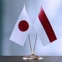 Ekonom Sambut Baik Kerja Sama RI-Jepang soal Energi Hijau