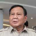 Investor China Ngadu ke Prabowo, Sebut Regulasi RI Terlalu Ketat dan Hambat Bisnis