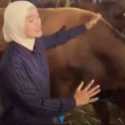 Seskab Teddy Borong Puluhan Sapi Boyolali