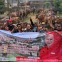 PDIP Jatim Salurkan 485 Ekor Sapi Kurban