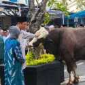 Kurban Dua Sapi Simental Cross, Purbaya: Dana Pribadi Lah