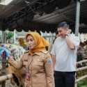 HIPMI Jakarta Barat Serahkan Hewan Kurban ke Pemkot