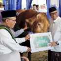 Prabowo Serahkan 11 Sapi Kurban untuk Lampung, Bobot Rata-rata di Atas 1 Ton