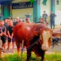 Masjid Kompleks Amien Rais Dapat Kiriman Sapi Berinisial TIW