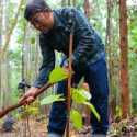 Pengunjung IKN Diajak Tinggalkan Jejak Hijau Lewat Aksi Tanam Pohon
