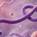 Warga AS dari Zona Ebola Dievakuasi ke Eropa
