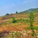 Warga Sukaresmi Desak Mediasi, Minta PT BJA Hentikan Land Clearing