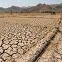 Daftar Wilayah yang Berpotensi Terdampak El Nino 2026