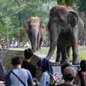 Ragunan Diserbu Wisatawan saat Libur 1 Muharam