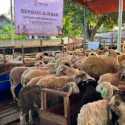 Daging Kurban Jadi Sumber Pangan Bergizi Keluarga Prasejahtera