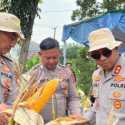 Kapolres Karawang Cek Jagung Hibrida Jelang Panen