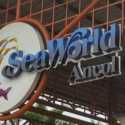 Lansia Gratis Masuk Wahana Ancol, Cek Caranya