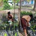 Gotong Royong Pulihkan Ekosistem Pesisir Lewat Rehabilitasi Mangrove