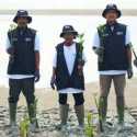 BRI Peduli Bersama Kelompok Tani Tanam 24.000 Mangrove Pulihkan Ekosistem Pesisir