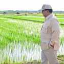 Menakar Reforma Agraria sebagai Fondasi Swasembada Pangan Berkelanjutan