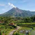 Viral Pendaki Padati Gunung Merapi via Selo, TNGM Sebut Tidak Direkomendasikan
