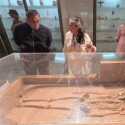 Belajar dari Kehancuran Harappa