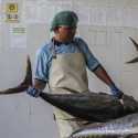 Peningkatan Kapasitas Pekerja Pembekuan Tuna