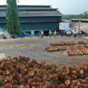 BWPT Menjawab Pertanyaan BEI soal FELDA, Ini Lengkapnya