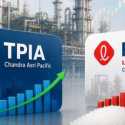 TPIA vs FPNI: Siapa Lebih Menarik di Bursa?